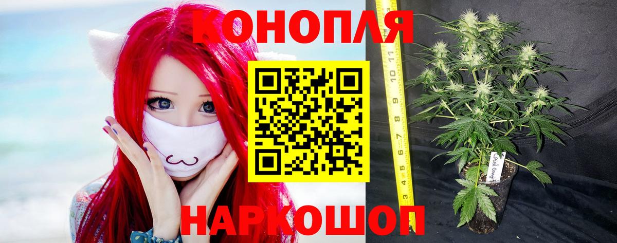 Конопля ГИДРОПОН  Вход с VPN  МАРИХУАНА White Widow  Серпухов 